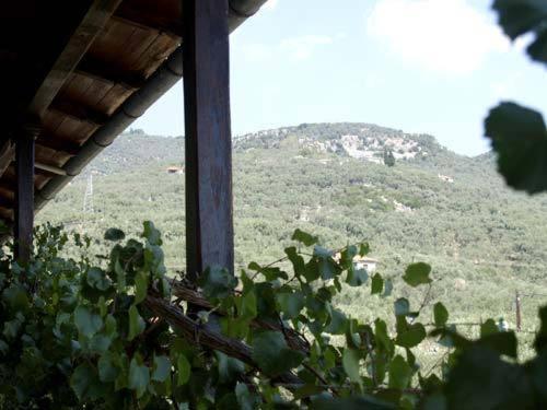Hotel Figalia Kala Nera Chambre photo